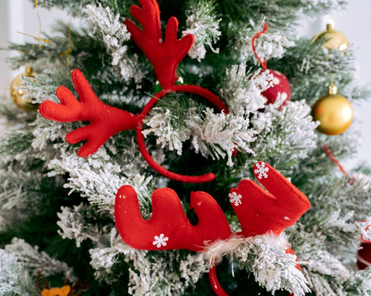 How the King of Christmas Can Light up Your Spring Wedding Milestones with Christmas Garlands