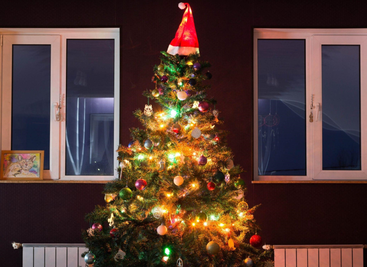 Unique Christmas Trees on Sale